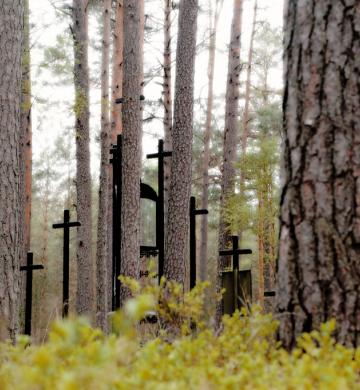 11 LISTOPADA - ZAMYŚLENIA PIAŚNICKIE