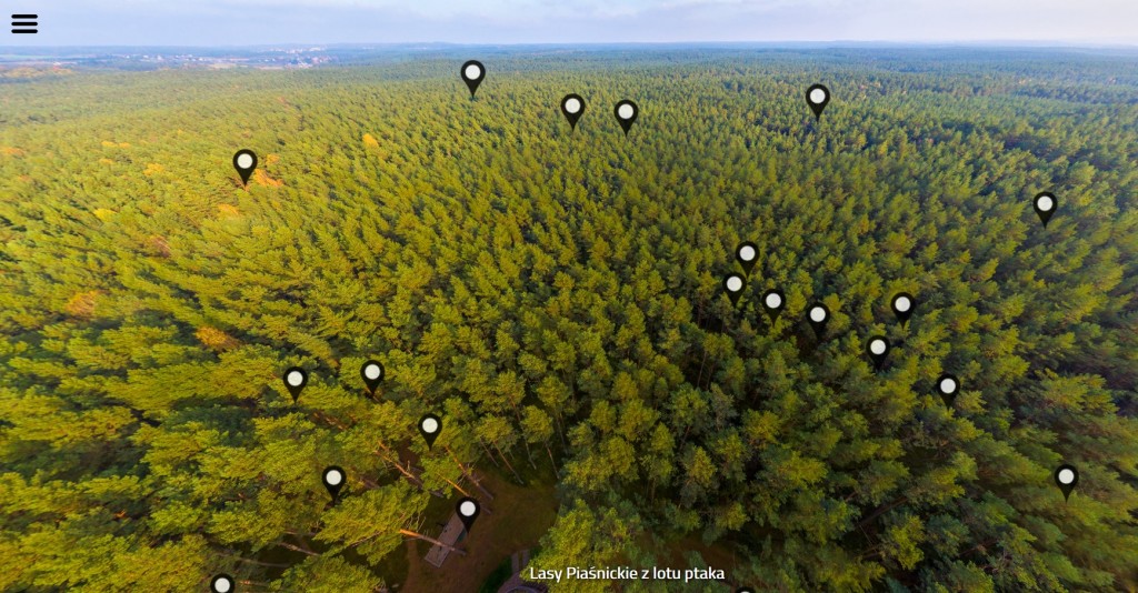 Lasy Piaśnickie z drona