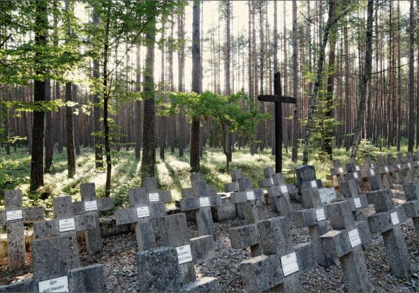 nagrobki z krzyżami w lasach piaśnickich